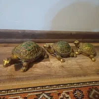 گل مصنوعی|گل مصنوعی|تبریز, |دیوار