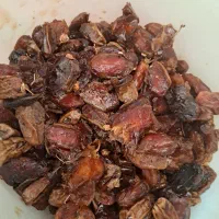 ضایعات خرما|خوردنی و آشامیدنی|میاندوآب, |دیوار