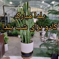 گلخانه بهشت جاده ب توحید روبروی استخر انتظام