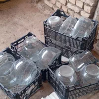 تنگ بزرگ ماهی و کوزه سبزی و ....