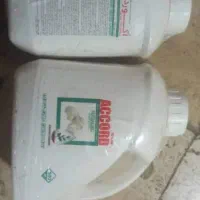 سم آکورد سالن قارچ|خدمات باغبانی و درختکاری|تبریز, |دیوار