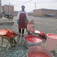 ابگوجه گیری اب هندوانه گیری سیار