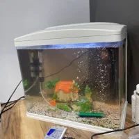 آکواریوم ماهیران کامل