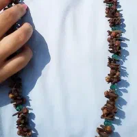 میخک جاودانه|بدلیجات|کرمانشاه, |دیوار