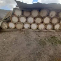 کندوی زنبورعسل