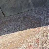 قالی|فرش|بجنورد, |دیوار