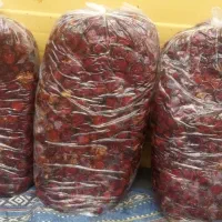 خرمای مرداسنگ آفتاب دیده