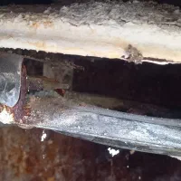 آبگرمکن|آبگرمکن، پکیج، شوفاژ|گنبد کاووس, |دیوار