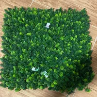 چمن گرین وال