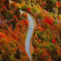 گیلانگردی جمعه ۱۶ ام