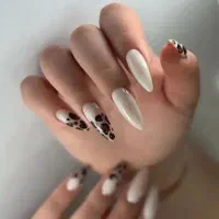 زیبایی و ارزانی