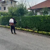 هرس و علف زنی وکلیه خدمات باغبانی|خدمات باغبانی و درختکاری|بندر انزلی, دهکده ساحلی|دیوار