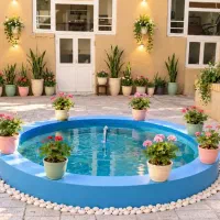 ایونت شب های پاییزی (روابط اجتماعی )
