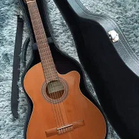 گیتار الکتروکلاسیک الحمبرا زد نیچر Z Nature CW EZ