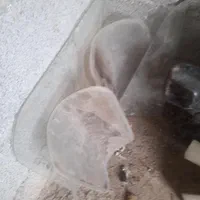 ولوو موتور کوچک|قطعات یدکی و لوازم جانبی|آمل, |دیوار