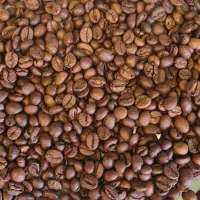 میکس های اقتصادی قهوه کایا
