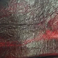 پخش عمده لواشک محلی آلو