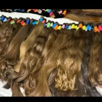 خریدار موی طبیعی بانوان بالای ۶۰ سانت حضوری