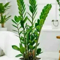 دفتر-وکالت-آرایشگاه-کافینت-مشاوره