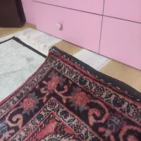 قالی کوردی|فرش|سنندج, |دیوار