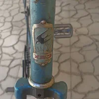 موتور نیم کورسی