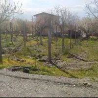 فروش باغ ویلا در کنگاور.|فروش خانه و ویلا|کنگاور, |دیوار