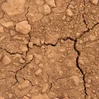 زمین-فروشی-اباده-شیراز