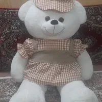 شاسخین
