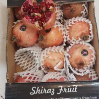 کارگر میوه فروشی کارگر ساده