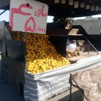 میوه فروشی سیاربا15سال سابقه|فروشگاه و مغازه|محمدشهر, عباس آباد|دیوار