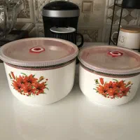 ظرف درب دار یخچال