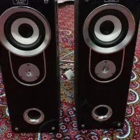 اسپیکر(باند) دوقلو