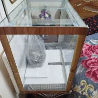 آکواریوم ماهی|ماهی|شیراز, پانصد دستگاه ارتش|دیوار