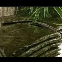 سبزی خورشتی سبزی اشی سبزی ماهی به نرخ عمده|خوردنی و آشامیدنی|اهواز, شهرک شهید میثمی|دیوار