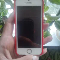 ایفون 5s طلایی