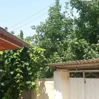 فروش ویلا در منطقه چهارفصل چلاو در مسیر فیلبند|فروش خانه و ویلا|امامزاده عبدالله, |دیوار