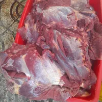 خورده گوشت ممتاز