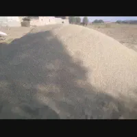 کاه.خشه