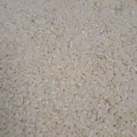 نیم برنج طارم هاشمی بدون سم