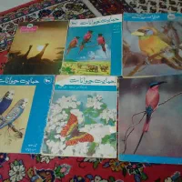 تعدادی بوردا آلمانی.مجله هنرومردم .حمایت حیوانات|مجلات|کرج, عظیمیه|دیوار