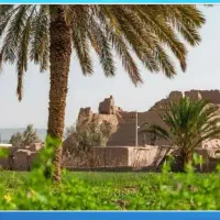 خوشه وفله ای کیلوی می خ رم  منصفانه توضیحات بخونید