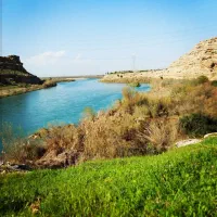 استخدام مدیر فنی بند ب