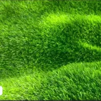 چمن مصنوعی|مصالح و تجهیزات ساختمان|گرگان, |دیوار