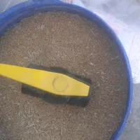 گمشده