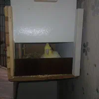 جفت عروس هلندی مولد دستی با تخم و قفس