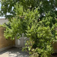 ویلایی-دربست-رهن-اجاره-قدوسی-شرقی