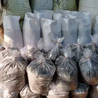 خاک گیاهان آپارتمانی