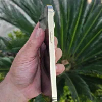 آیفون ۱۴ پرومکس۲۵۶ دو سیم ریجستر و گارانتی|موبایل|رشت, جهاد|دیوار