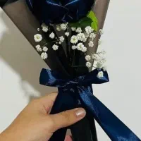 رز تک شاخه
