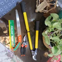 قیچی شاخه زن قیچی باغبانی اره